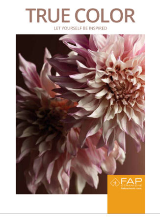 TRUE_COLOR_obalka.jpg