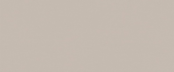 TRUE COLOR 50x120cm, keramický obklad rektifikovaný, Fossil (bal =1,8m2)  (fTDU) (6)