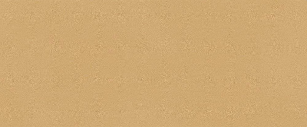 TRUE COLOR 50x120cm, keramický obklad rektifikovaný, Caramel (bal =1,8m2)  (fTDS) (1)