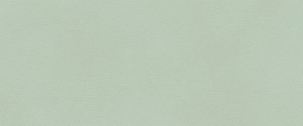 TRUE COLOR 50x120cm, keramický obklad rektifikovaný, Matcha (bal =1,8m2)  (fTDV) (1)