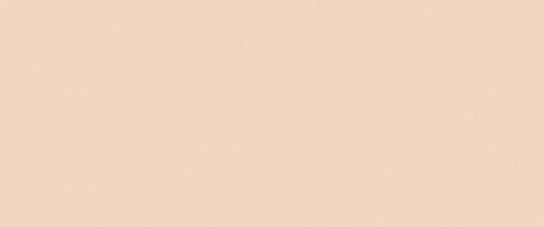 TRUE COLOR 50x120cm, keramický obklad rektifikovaný, Talc (bal =1,8m2)  (fTDW) (1)