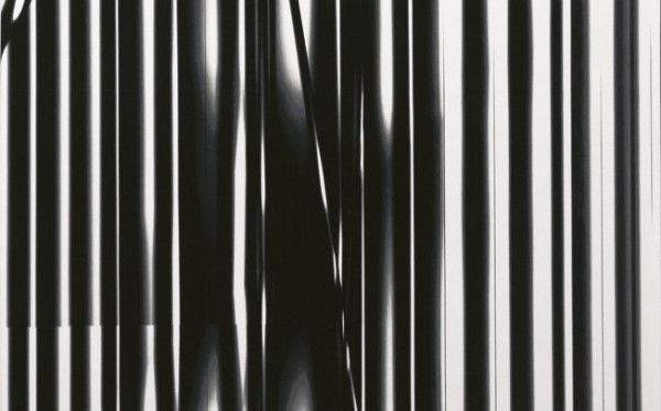 INKA odkladná keramická deska 22x35,5cm, zebra ( 341633 ) (1)