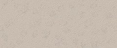 TRUE COLOR Dekor 50x120cm, keramický obklad rektifikovaný, Wind Fossil (bal =1,8m2)  (fTD1)