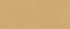 TRUE COLOR 50x120cm, keramický obklad rektifikovaný, Caramel (bal =1,8m2)  (fTDS)