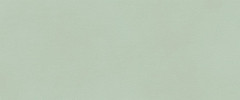 TRUE COLOR 50x120cm, keramický obklad rektifikovaný, Matcha (bal =1,8m2)  (fTDV)
