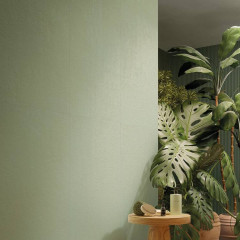 TRUE COLOR 50x120cm, keramický obklad rektifikovaný, Matcha (bal =1,8m2)  (fTDV) (4)