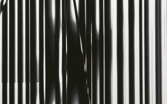 INKA odkladná keramická deska 22x35,5cm, zebra ( 341633 )